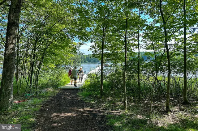a view of a lake from a garden