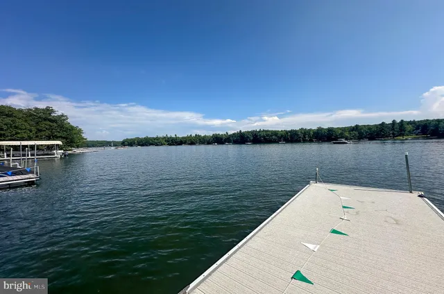 a view of a lush green space