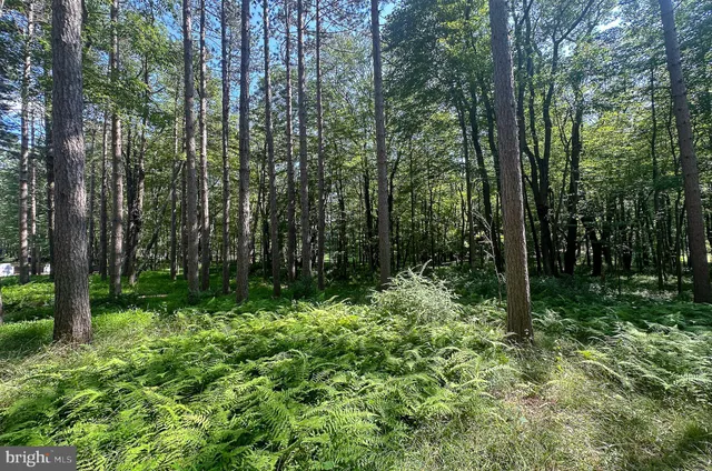 a sign on the side of the road