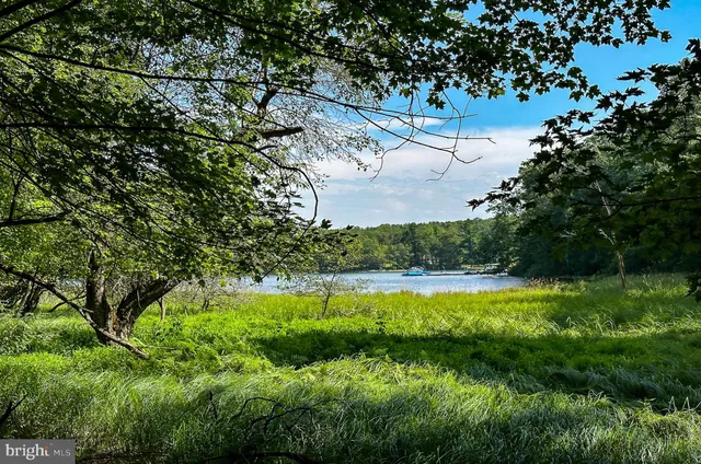 a view of yard with green space