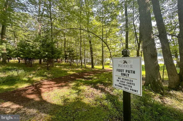 a sign that is sitting in the middle of forest