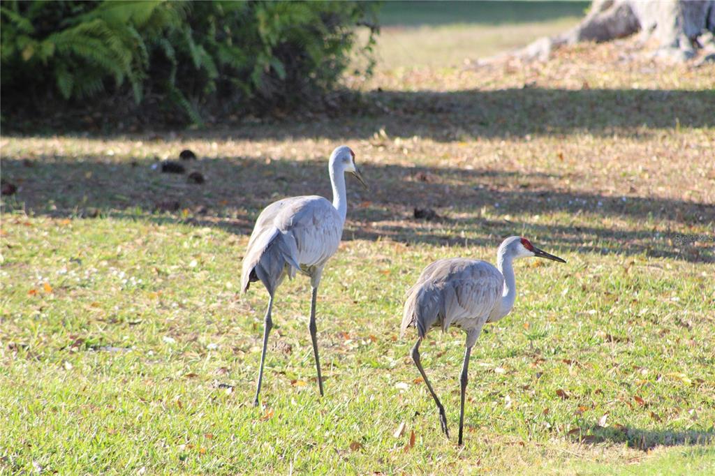 74 Belem Street Punta Gorda, FL 33983 - Photo 31 of 34