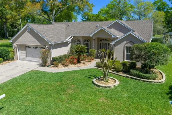 a view of a house with a yard potted plants and a large tree