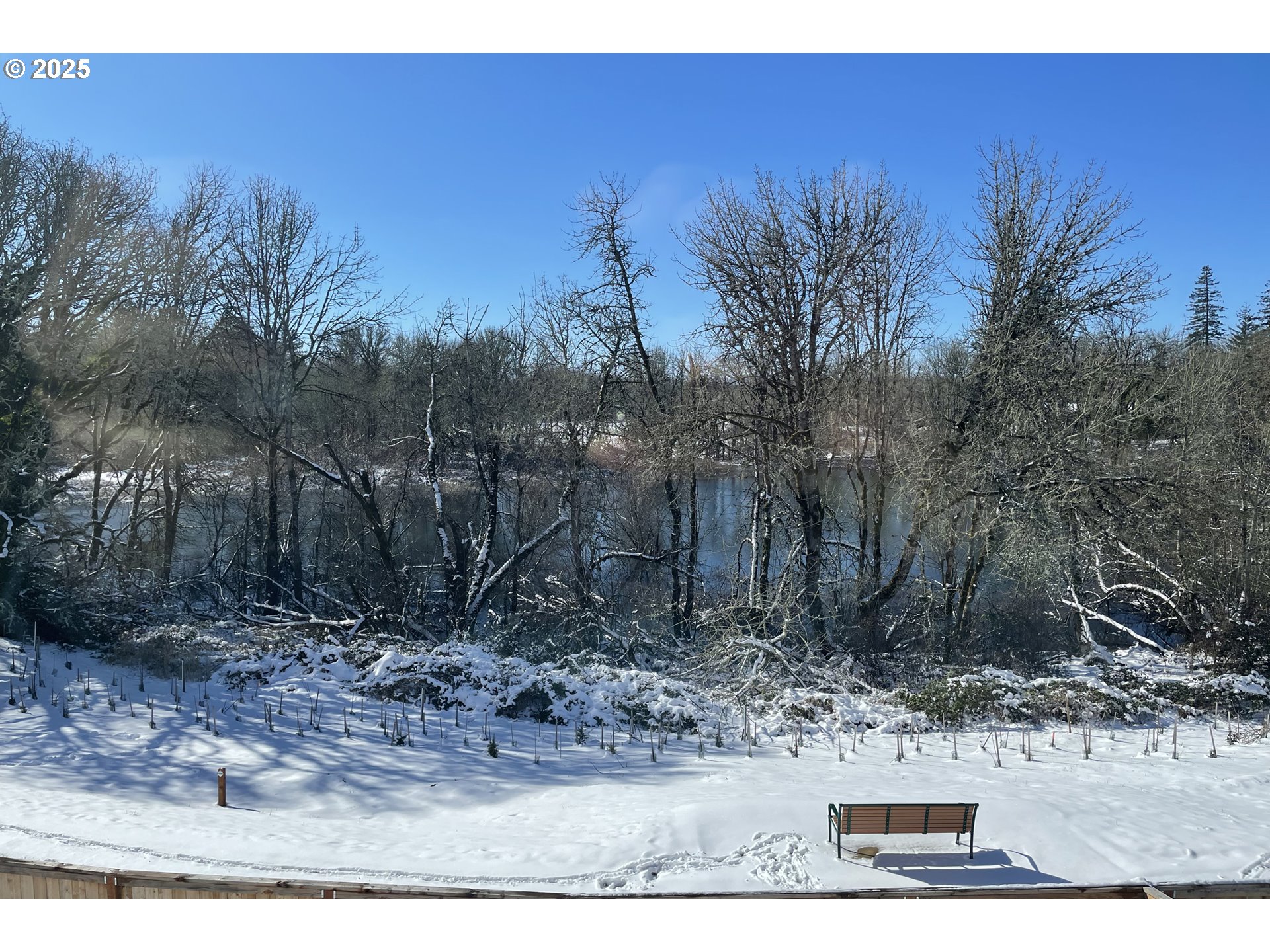 1565 South Quartz Street Cornelius, OR 97113 - Photo 40 of 46 View