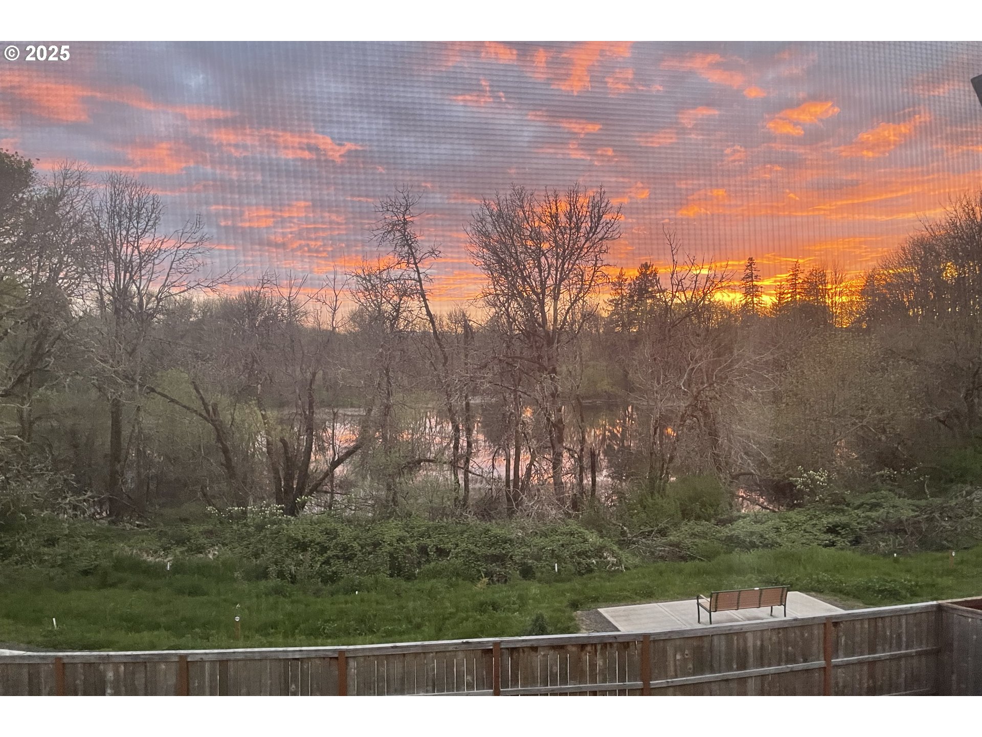 1565 South Quartz Street Cornelius, OR 97113 - Photo 41 of 46 View