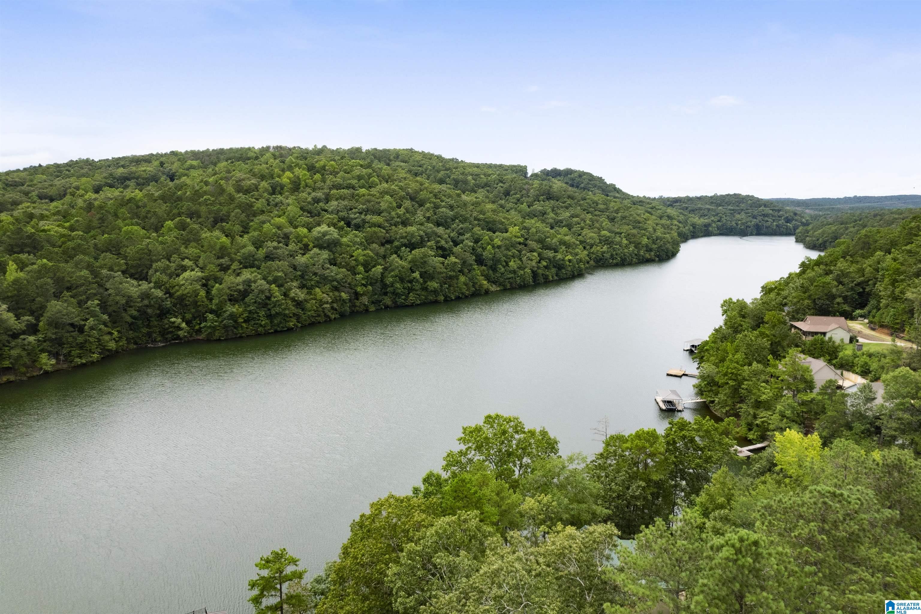 200 Outback Drive Wedowee, AL 36278 - Photo 2 of 44