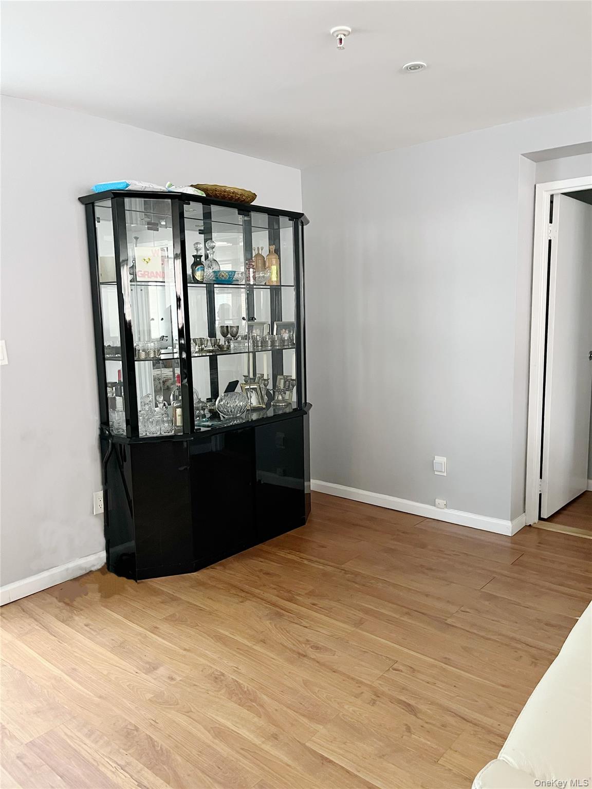 10 Canterbury Road, Unit 1B Great Neck, NY 11021 - Photo 2 of 10 a view of an empty room with wooden floor and a window