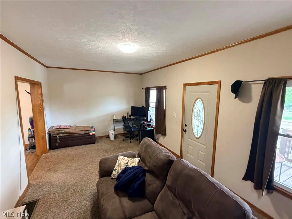 231 Front Street Philo, OH 43771 - Photo 4 of 21
