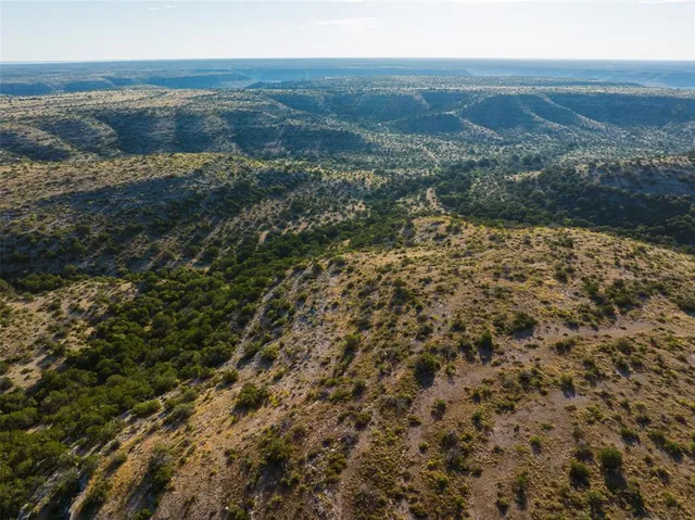 a view of a field with an ocean view