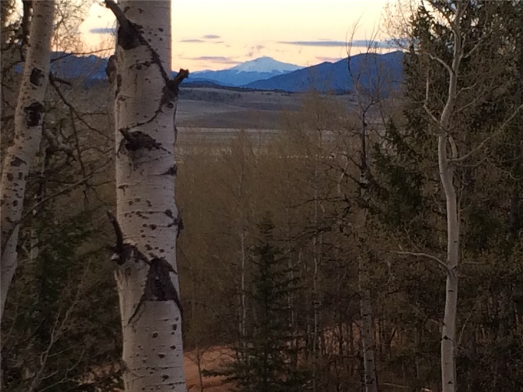 2283 Michigan Hill Road Jefferson, CO 80456 - Photo 26 of 30 Gallery Image 26