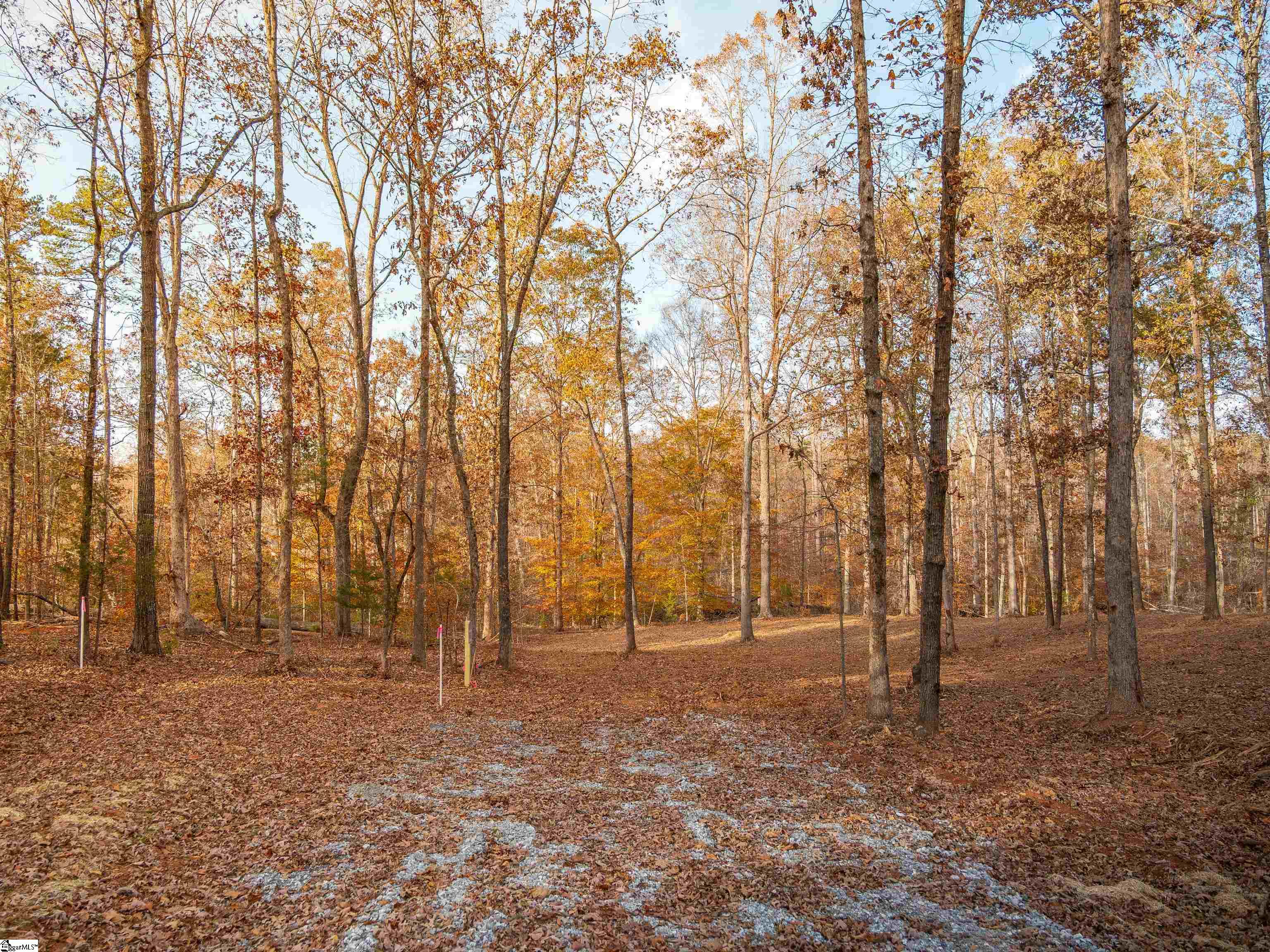 253 West Chapman Road, Unit LOT 8 Belton, SC 29627 - Photo 14 of 23