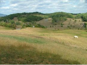 345 Morrison Road Chuckey, TN 37641 - Photo 8 of 9 Photo 8