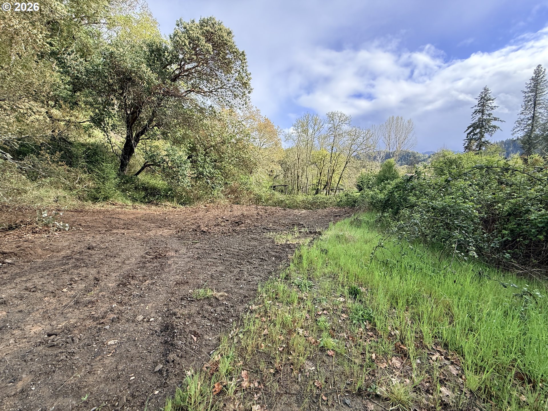 119 Winter Green Drive Riddle, OR 97469 - Photo 22 of 24 a view of backyard with green space