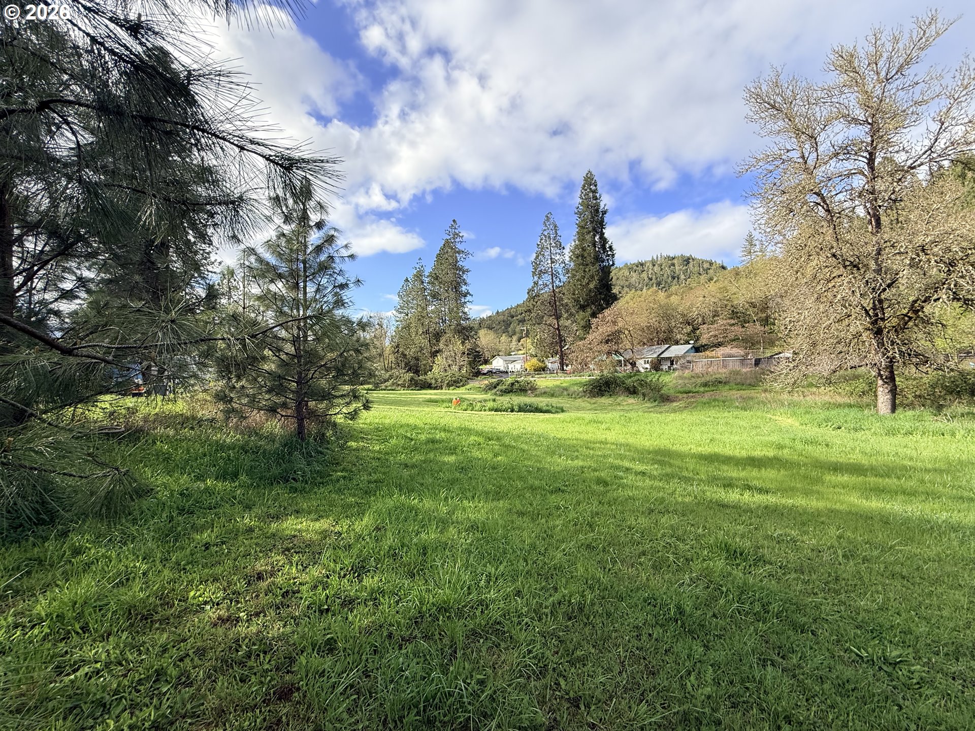 119 Winter Green Drive Riddle, OR 97469 - Photo 23 of 24 a view of grassy field with trees
