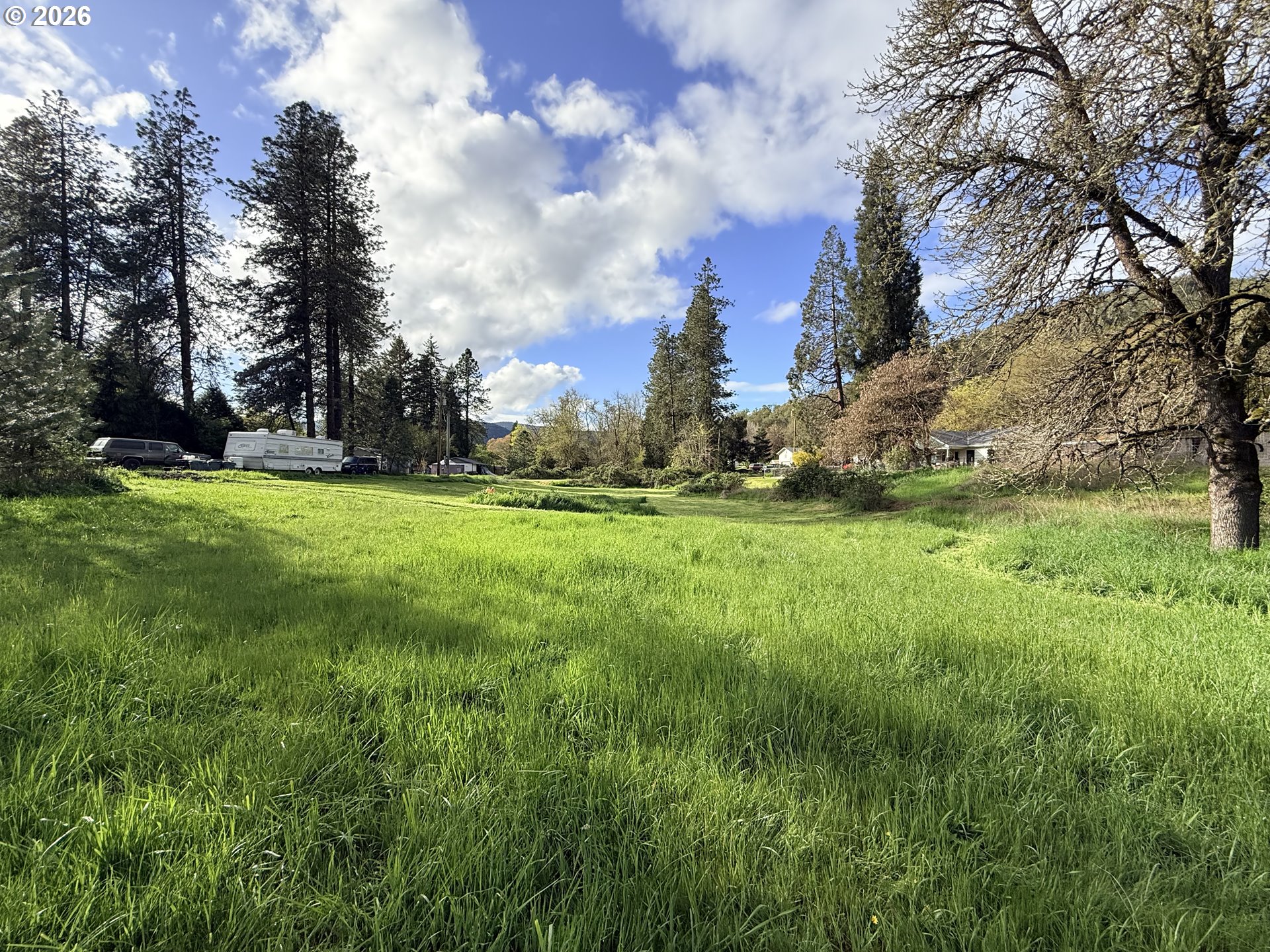 119 Winter Green Drive Riddle, OR 97469 - Photo 9 of 24 a backyard of a house with lots of green space