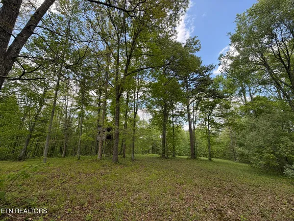 $265,000 | 0 Scott Highway, Helenwood, TN 37755