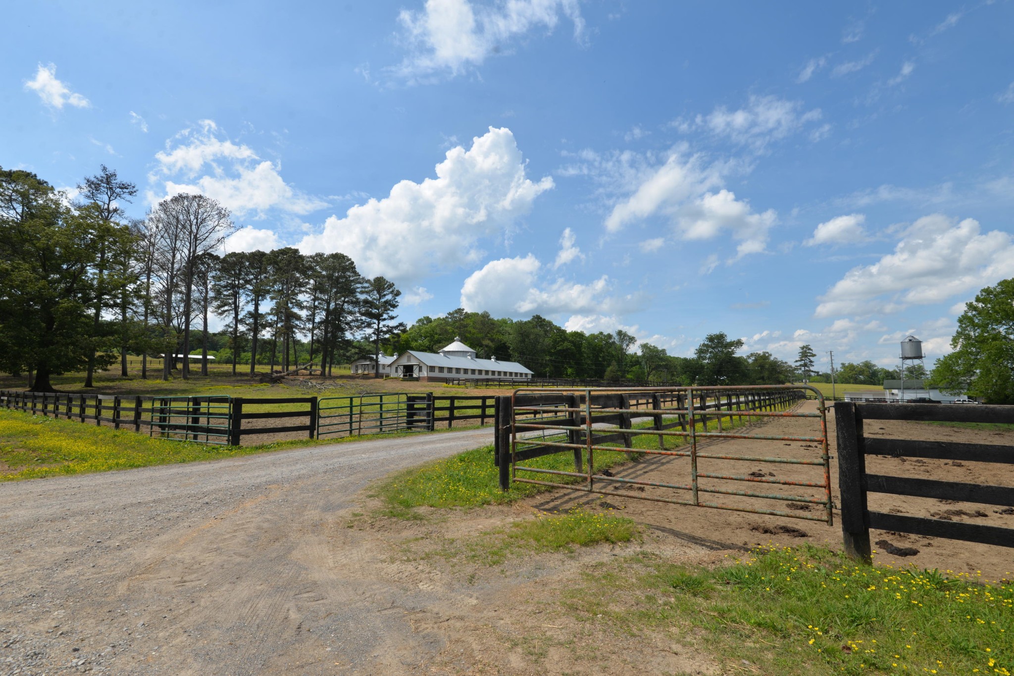 0 Hutcheson Road Flintstone, GA 30725 - Photo 1 of 9 Gallery Image 1