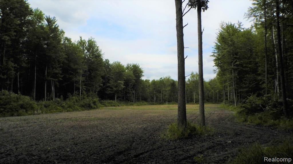 0 South Murray Road Caro, MI 48723 - Photo 8 of 14