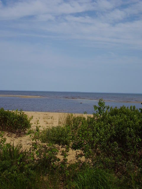 11000 North Whitefish Point Road Paradise, MI 49768 - Photo 2 of 9 Gallery Image 2
