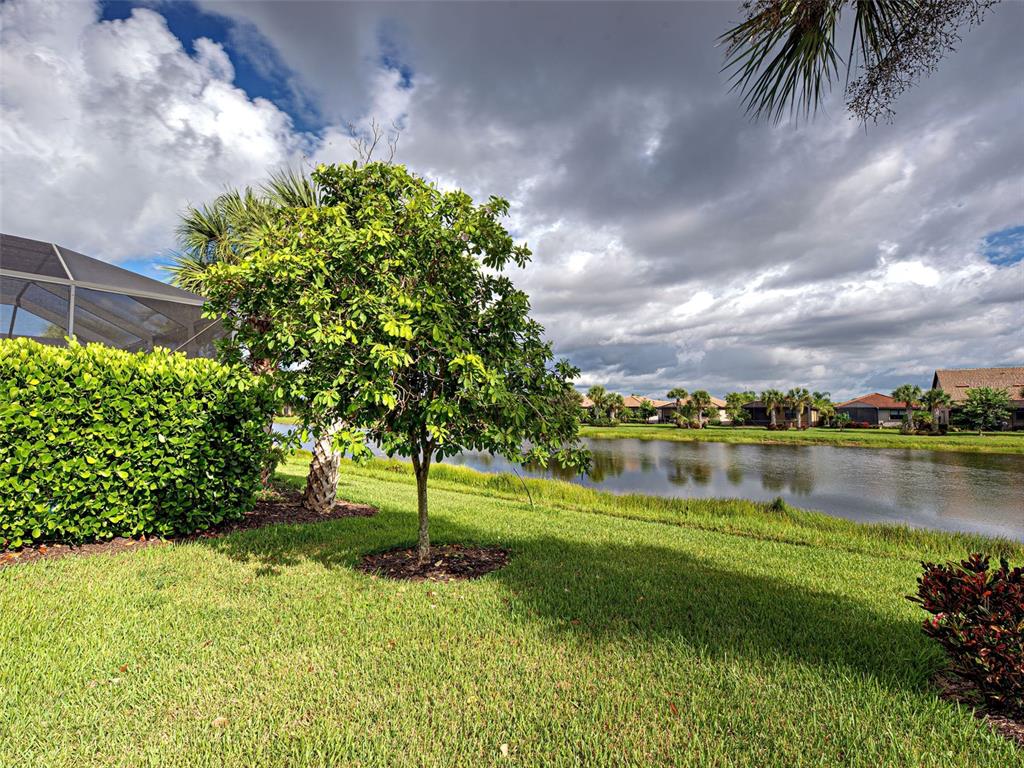 13836 Campoleone Street Venice, FL 34293 - Photo 49 of 99 a view of a lake with a yard