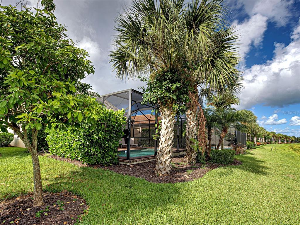 13836 Campoleone Street Venice, FL 34293 - Photo 51 of 99 a view of outdoor space with trees