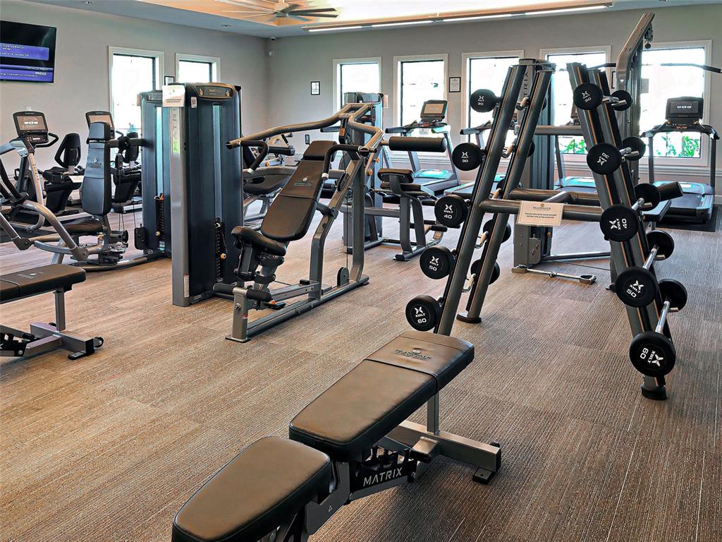 13836 Campoleone Street Venice, FL 34293 - Photo 58 of 99