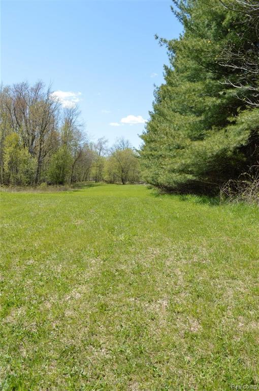 5181 Morrice Road Webberville, MI 48892 - Photo 50 of 58