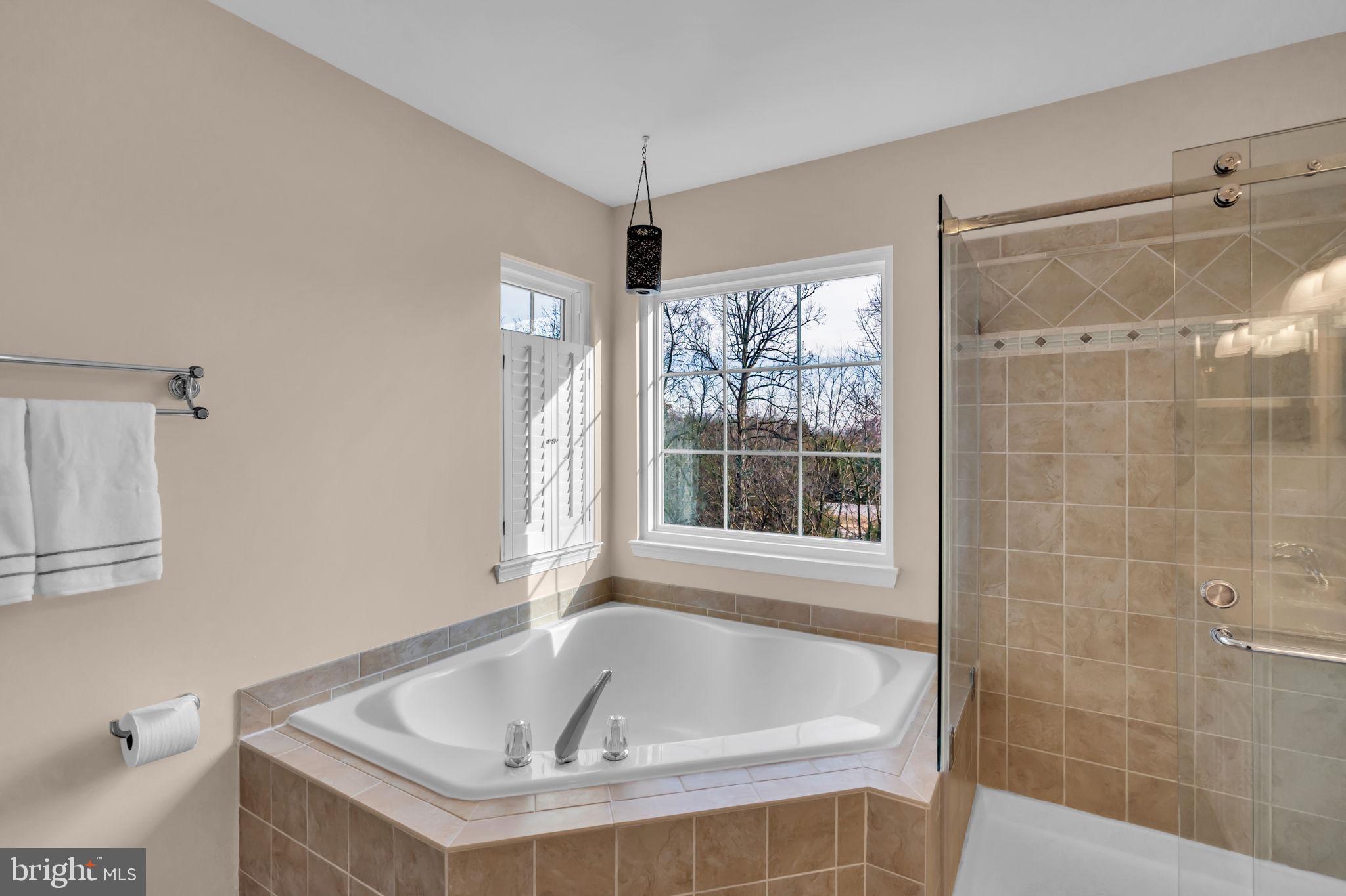 21644 Frame Square Broadlands, VA 20148 - Photo 22 of 38 a bathroom with a tub and a shower