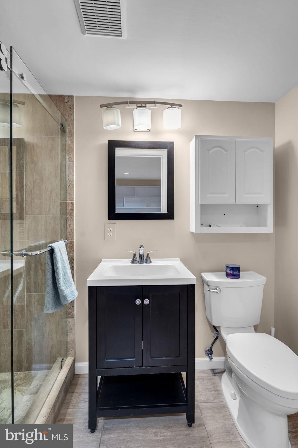 21644 Frame Square Broadlands, VA 20148 - Photo 30 of 38 a bathroom with a toilet a sink and mirror