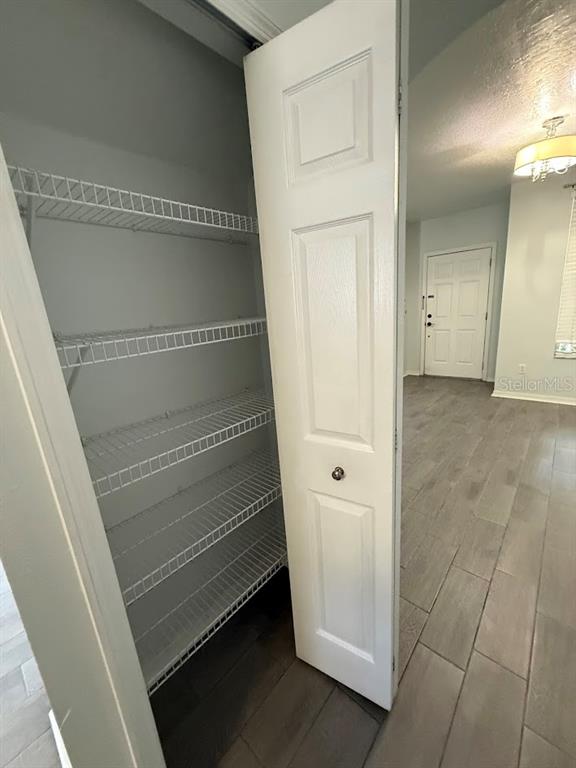 1567 Blue Magnolia Road Brandon, FL 33510 - Photo 7 of 23 a view of walk in closet