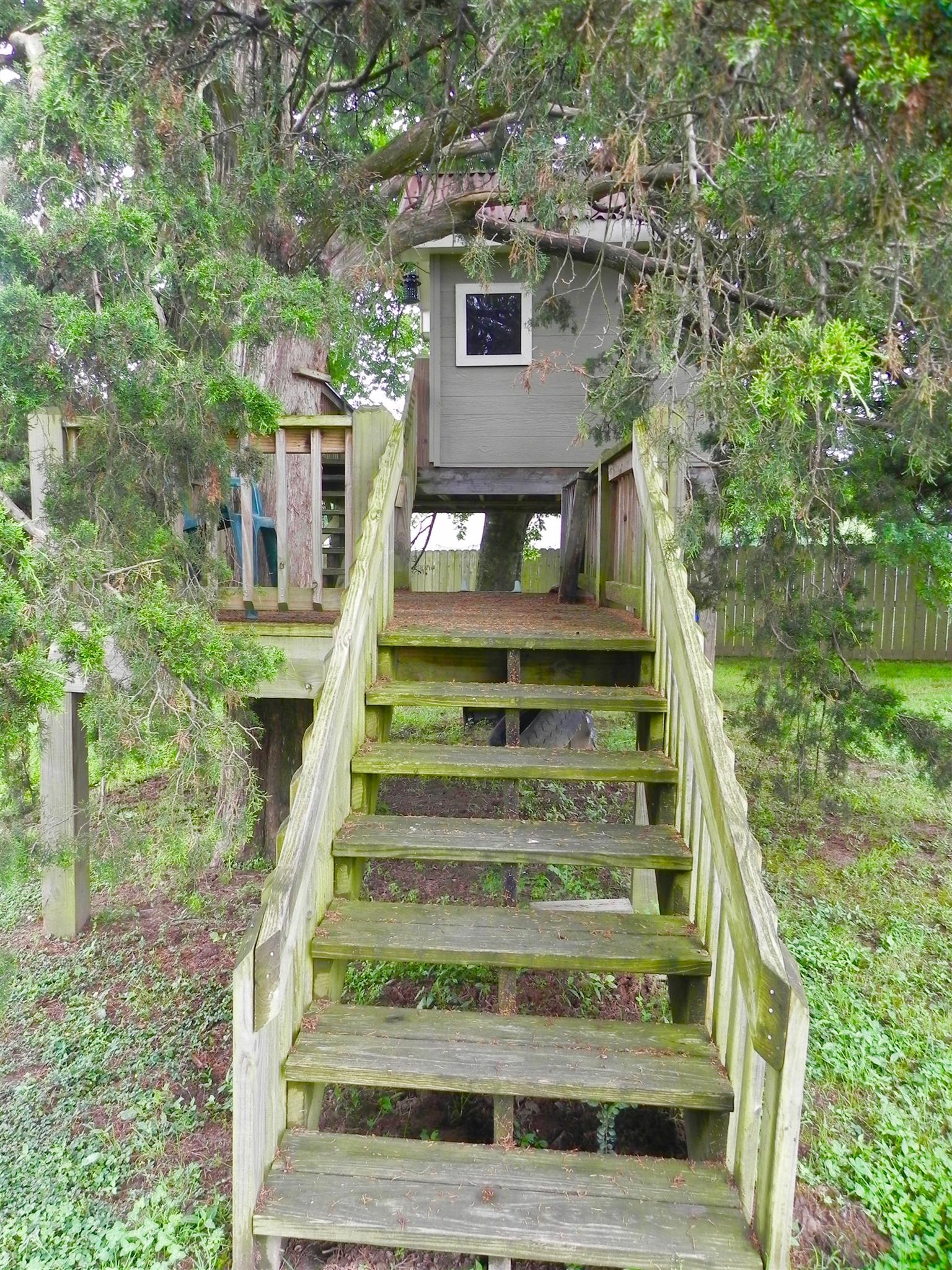 203 Contrary Road Burns, TN 37029 - Photo 17 of 23 Gallery Image 17