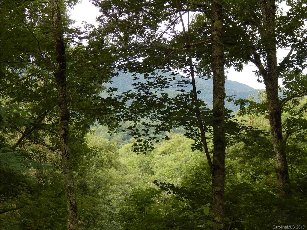 0 Cold Springs Road, Unit 23A Maggie Valley, NC 28751 - Photo 2 of 13 Gallery Image 2