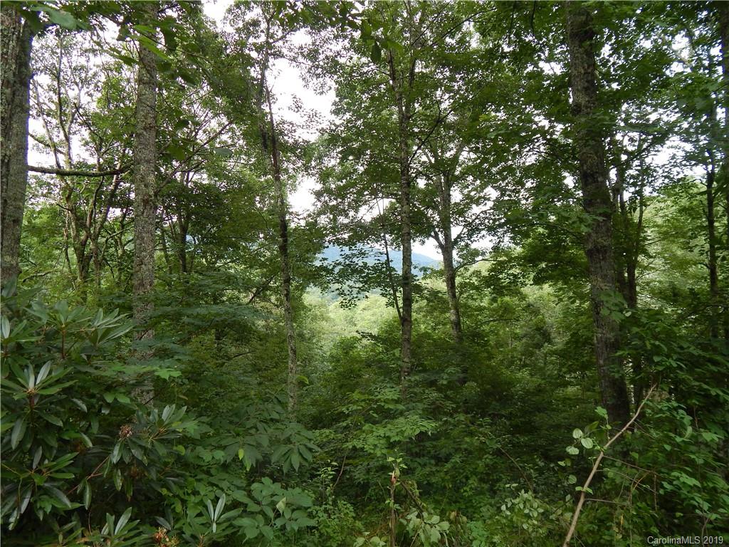 0 Cold Springs Road, Unit 23A Maggie Valley, NC 28751 - Photo 11 of 13 Gallery Image 11