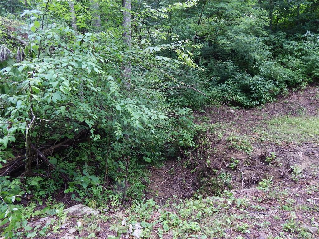 0 Cold Springs Road, Unit 23A Maggie Valley, NC 28751 - Photo 3 of 13 Gallery Image 3