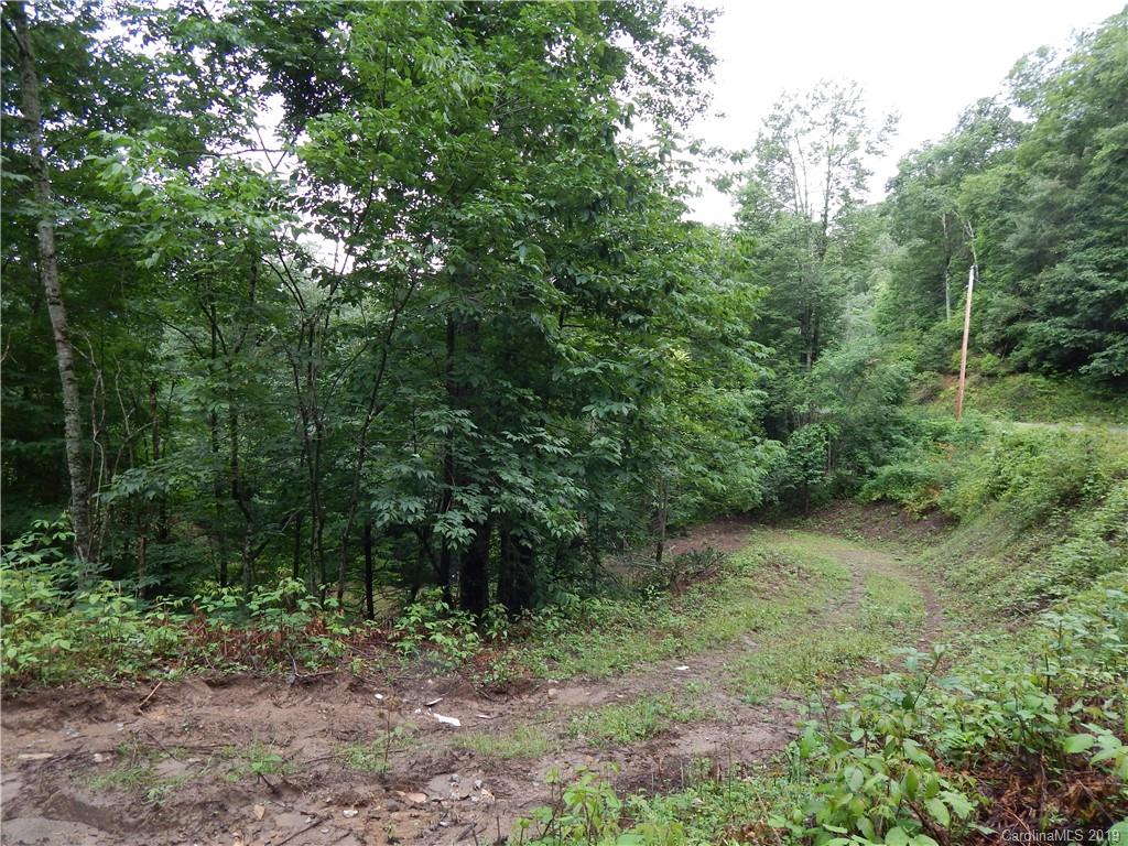 0 Cold Springs Road, Unit 23A Maggie Valley, NC 28751 - Photo 5 of 13 Gallery Image 5