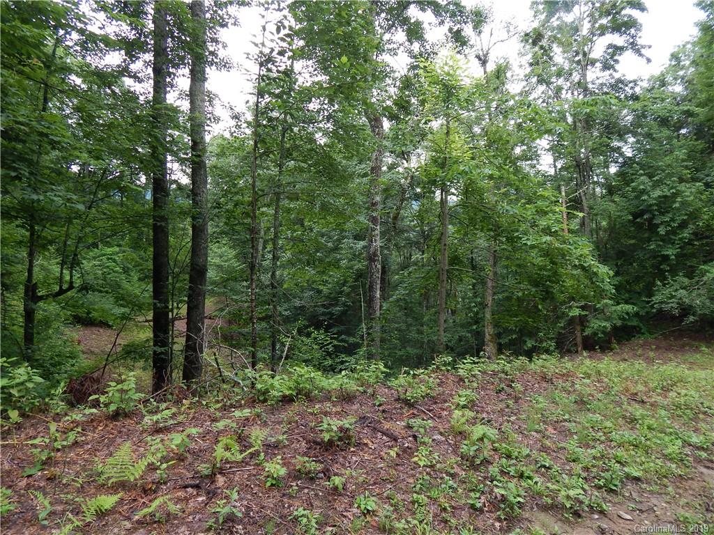 0 Cold Springs Road, Unit 23A Maggie Valley, NC 28751 - Photo 7 of 13 Gallery Image 7