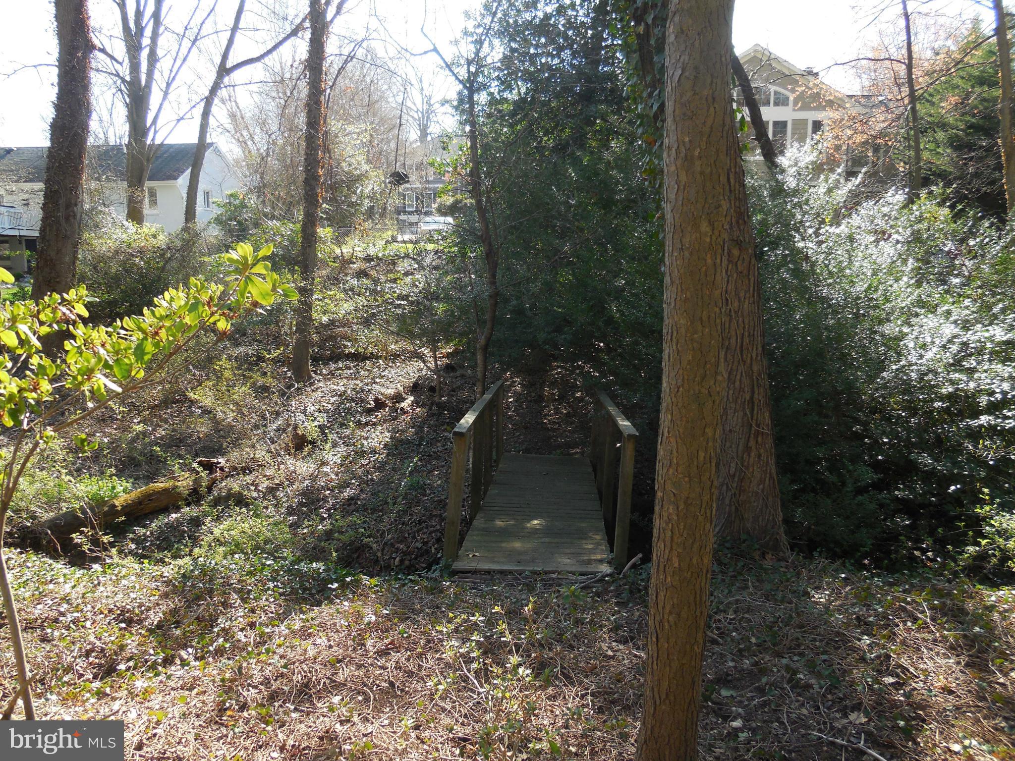 5911 Chesterbrook Road McLean, VA 22101 - Photo 26 of 28 a view of a forest