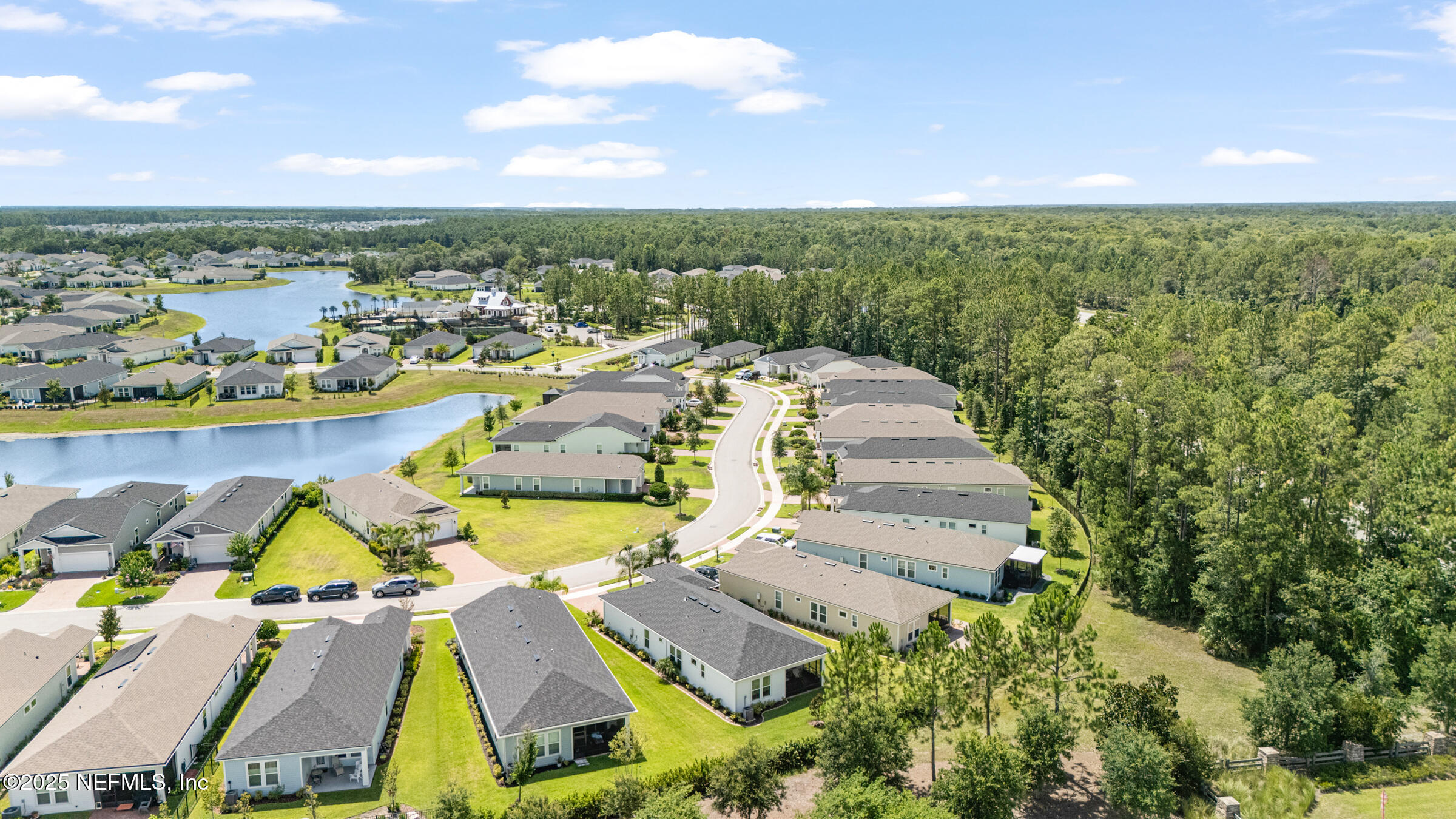 985 Rustic Mill Dr Street St. Augustine, FL 32092 - Photo 46 of 65 Aerial View