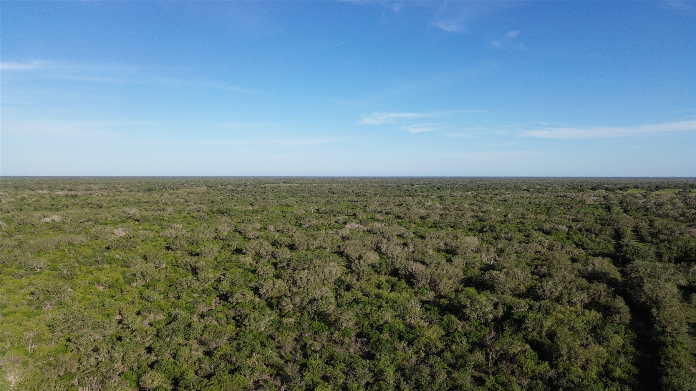 6104 Lucas Road Goliad, TX 77963 - Photo 17 of 32 a view of a big yard with lots of bushes