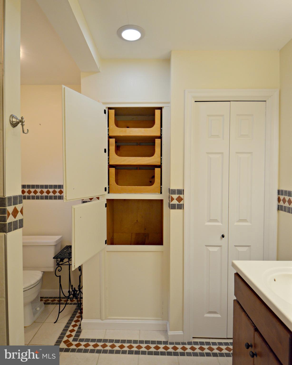 114 Pleasant View Drive Lititz, PA 17543 - Photo 17 of 26 Custom storage and laundry chute!
