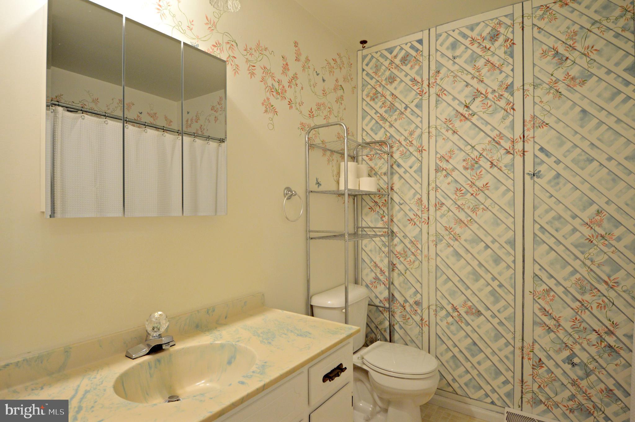 114 Pleasant View Drive Lititz, PA 17543 - Photo 20 of 26 2nd full bathroom
