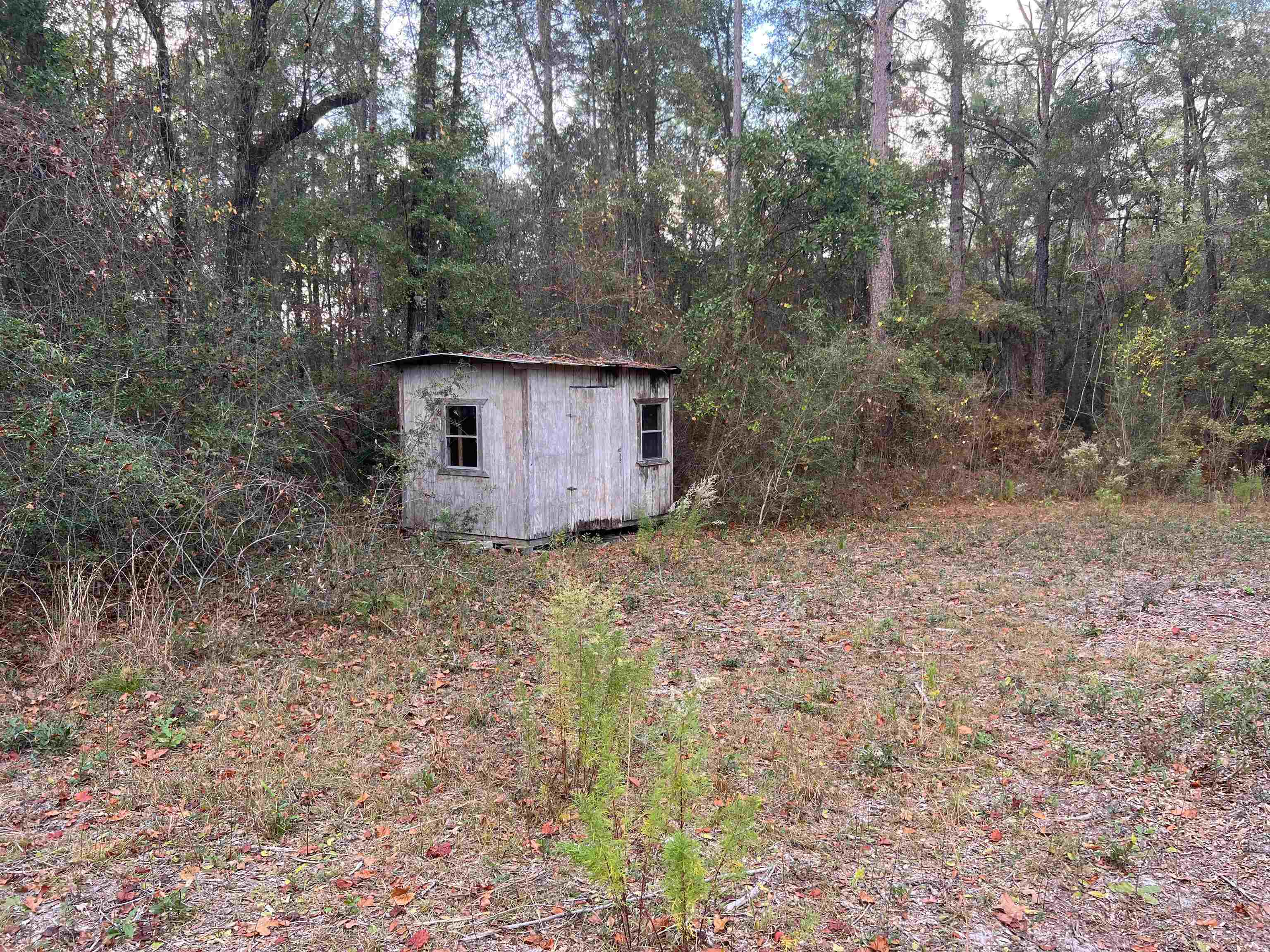 520 New Light Church Road Crawfordville, FL 32327 - Photo 14 of 18