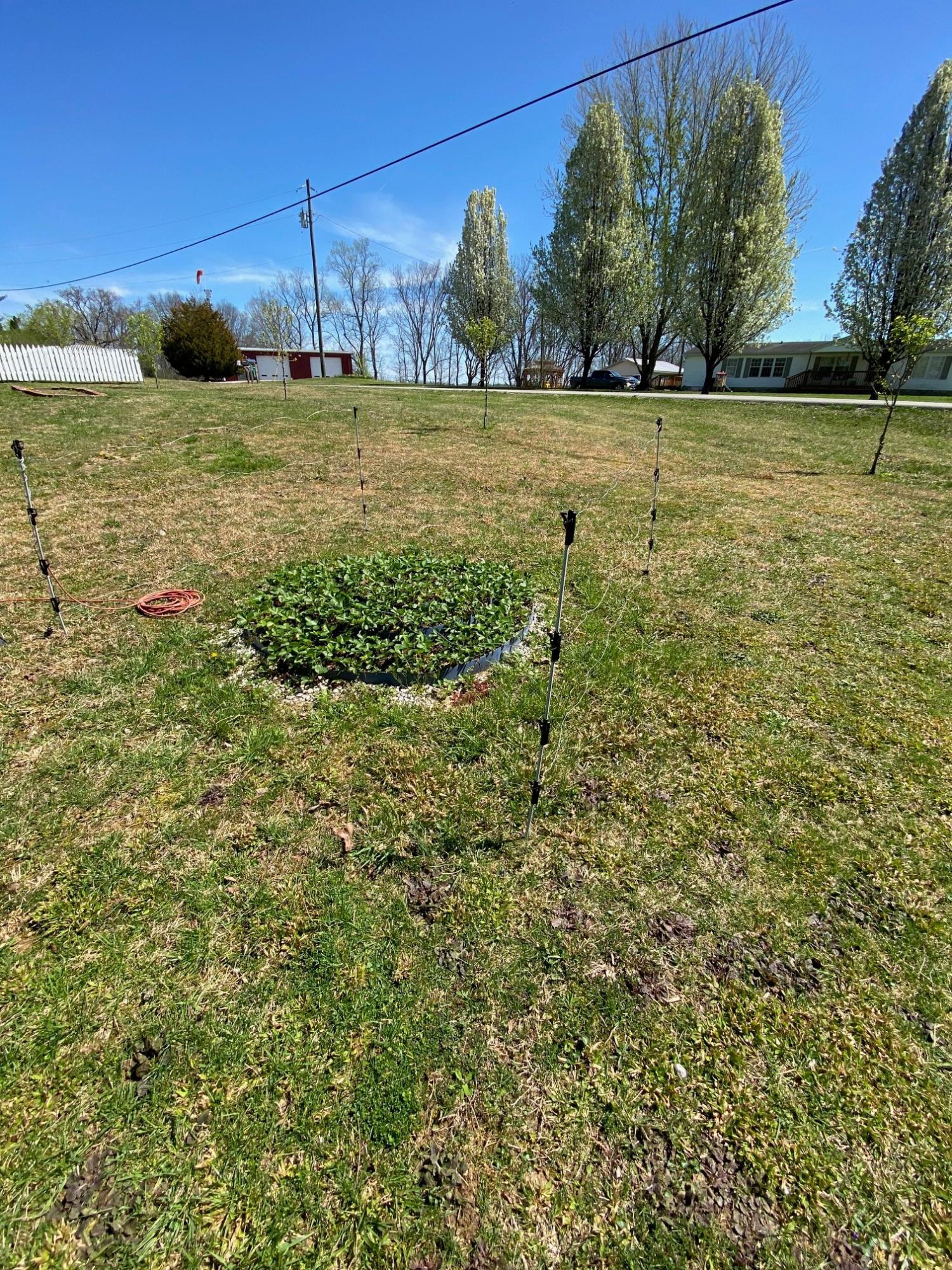 2385 Blue John Road Burnside, KY 42519 - Photo 22 of 24 IMG_3444