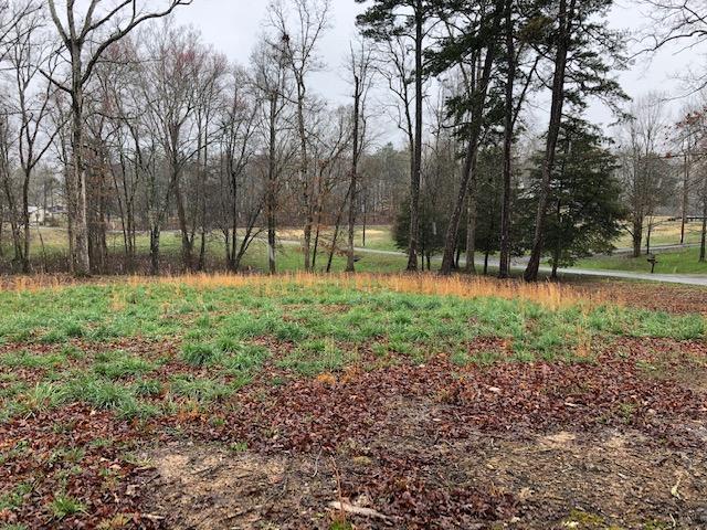 0 Russell Lane, Unit 11 Decatur, TN 37322 - Photo 1 of 12 RUSSELL 12