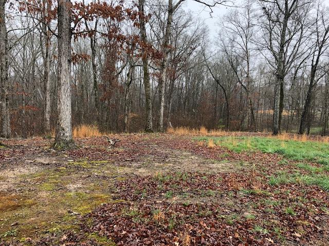 0 Russell Lane, Unit 11 Decatur, TN 37322 - Photo 2 of 12 RUSSELL 11