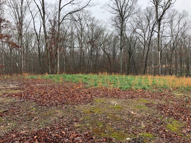 0 Russell Lane, Unit 11 Decatur, TN 37322 - Photo 12 of 12 RUSSELL 1