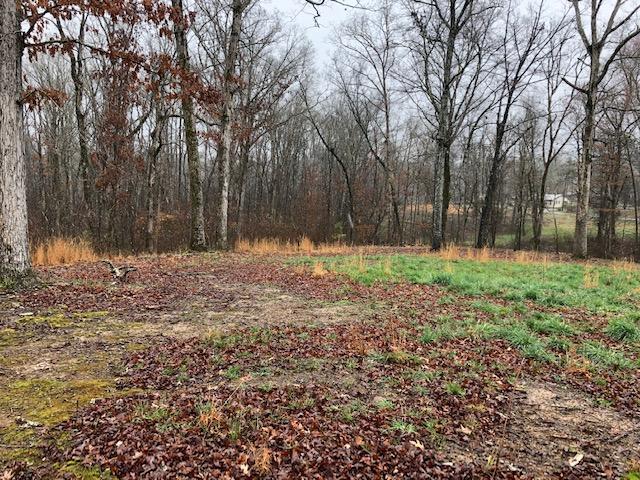 0 Russell Lane, Unit 11 Decatur, TN 37322 - Photo 3 of 12 RUSSELL 10