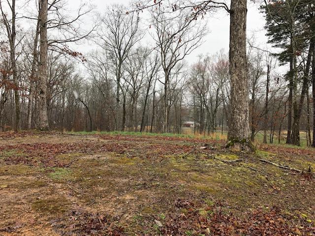 0 Russell Lane, Unit 11 Decatur, TN 37322 - Photo 5 of 12 RUSSELL 8