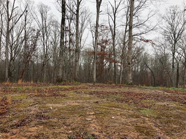 0 Russell Lane, Unit 11 Decatur, TN 37322 - Photo 6 of 12 RUSSELL 7