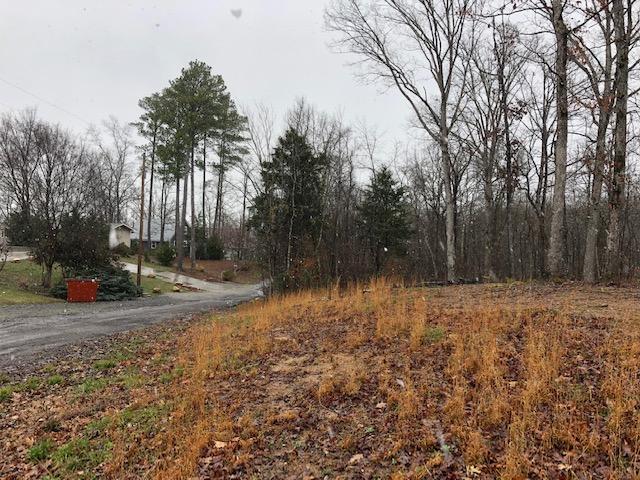 0 Russell Lane, Unit 11 Decatur, TN 37322 - Photo 8 of 12 RUSSELL 5
